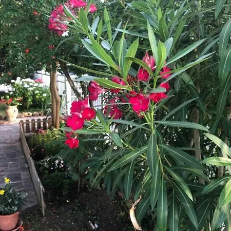 Le Ginestre Appartamento